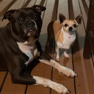 Meet your Posher, Yassi